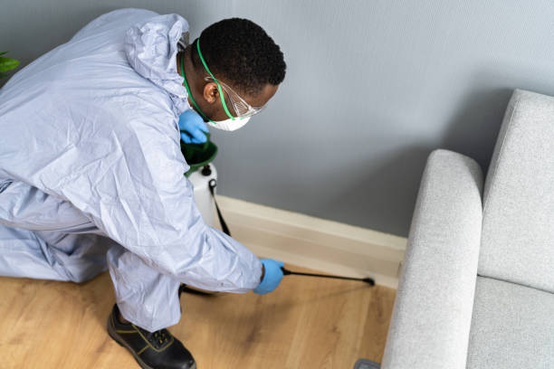 Best Real Estate Pest Inspections  in Marietta, OK